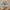 New Balance Casual Sneakers Pria green tan photo 4