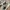 New Balance Casual Sneakers Pria green tan photo 2
