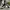 Nike Streetwear Casual Sneakers Pria white black photo 5