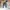 Levi's Vintage Streetwear Jeans Pria gray photo 2
