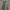 Engineered Garments Indie Casual Parka Pria green photo 2