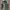 Engineered Garments Indie Casual Parka Pria green photo 3