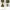 Engineered Garments Indie Casual Parka Pria green photo 1