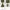 Engineered Garments Indie Casual Parka Pria Green