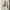 Off-White Streetwear Luxury Hoody Pria white photo 1
