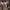 Ben Davis Vintage T-shirt Pria brown photo 3