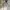 Japanese brand Vintage Track jacket Pria cream photo 1