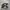 Adidas Casual Sneakers Pria white black photo 1
