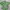 Obey Streetwear Y2K Casual shirt Pria green photo 4