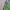 Obey Streetwear Y2K Casual shirt Pria green photo 5