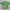 Obey Streetwear Y2K Casual shirt Pria green photo 1