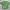Obey Streetwear Y2K Casual Shirt Pria Green