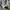 Obey Streetwear Y2K Casual shirt Pria green photo 6
