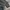 Minimalist Sweater Pria gray photo 5