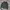 Minimalist Sweater Pria gray photo 6