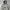WHO.A.U Casual Hoody Pria gray photo 2