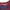 Casual T-shirt Kids burgundy navy photo 2