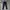 Adidas Sportswear Tracksuit Pria white navy photo 1