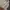 McGregor Vintage Casual Harrington jacket Pria tan photo 2