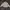 McGregor Vintage Casual Harrington Jacket Pria Tan