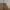McGregor Vintage Casual Harrington jacket Pria tan photo 3