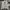 Stone Island Streetwear Casual Casual shirt Pria multicolor photo 4