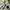 Stone Island Streetwear Casual Casual shirt Pria multicolor photo 5