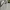Stone Island Streetwear Casual Casual shirt Pria multicolor photo 7