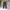 Dickies Vintage Skater Formal Pants Pria Navy