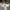 Adidas Sportswear Casual Casual shoe Pria multicolor photo 1