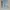 Pull & Bear Casual Mom jeans Wanita blue photo 1