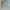 Pull & Bear Casual Mom Jeans Wanita Blue
