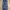 Vintage Jeans Pria blue photo 3
