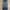 Vintage Jeans Pria blue photo 4