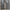 Vintage Jeans Pria navy photo 5