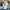 Reebok Indie Casual Sneakers Pria white black photo 4