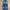 Vintage Jeans Pria blue photo 3