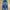 Vintage Jeans Pria blue photo 2