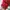 O'Neill Gorpcore Windbreaker Pria red gray photo 4