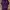 Levi's Streetwear Skater Pria purple photo 2