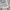 Nike Streetwear Sportswear Track jacket Pria black photo 6
