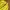 Montbell Sportswear Track jacket Pria green yellow photo 2