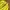 Montbell Sportswear Track Jacket Pria Green Yellow
