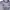 Adidas Streetwear Jersey Pria multicolor photo 2