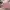 Y2K Lolita Bags & purse Wanita pink photo 3