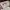 Nike Streetwear Skater Sneakers Pria brown photo 8