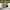 Nike Streetwear Skater Sneakers Pria brown photo 5