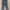 Jiniso Casual High waisted jeans Wanita blue gray photo 1
