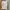 Thrasher Y2K Skater Sweatshirt Pria white photo 2