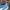 Nike Air Jordan Streetwear Sneakers Pria white blue photo 5